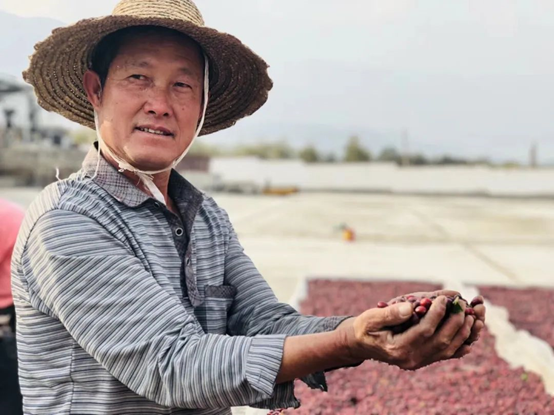 2020云南咖啡生豆大賽兩岸共33個(gè)站點(diǎn)即將火熱開賽<div   id=